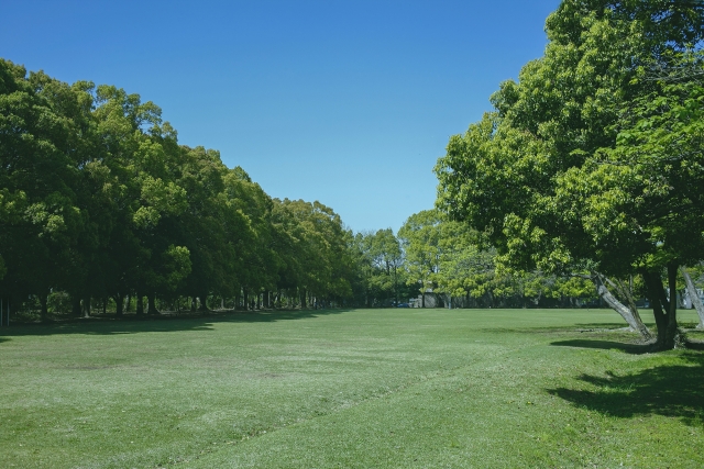緑のある風景